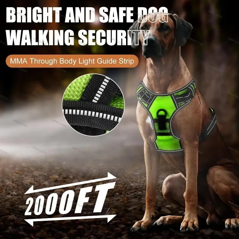 Rechargeable LED Glow Dog Harness
