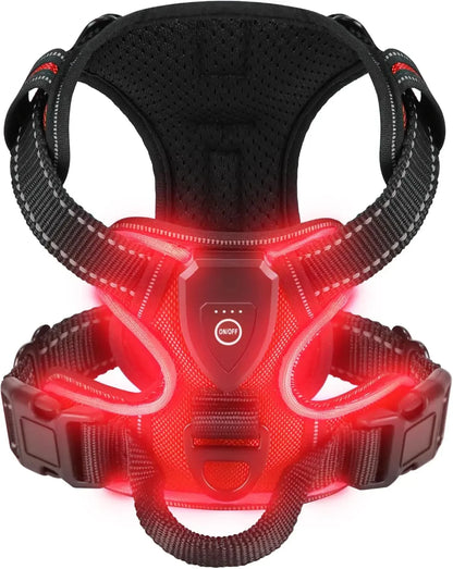 Rechargeable LED Glow Dog Harness