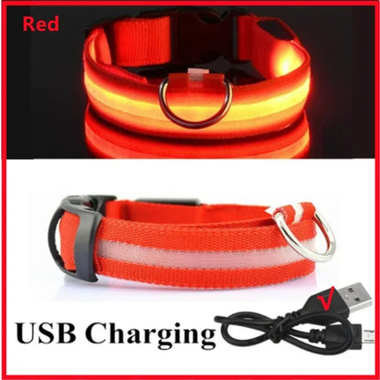 LED Glowing Dog Leash