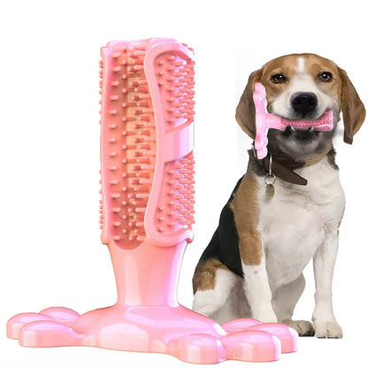 ChewyCactus