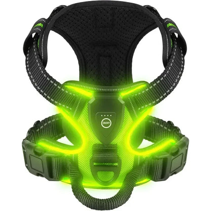 Rechargeable LED Glow Dog Harness