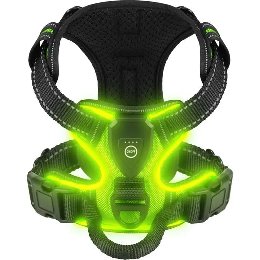 Rechargeable LED Glow Dog Harness