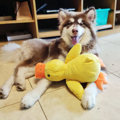 Duck Squeaky Toy for Dogs