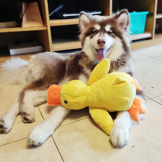 Duck Squeaky Toy for Dogs