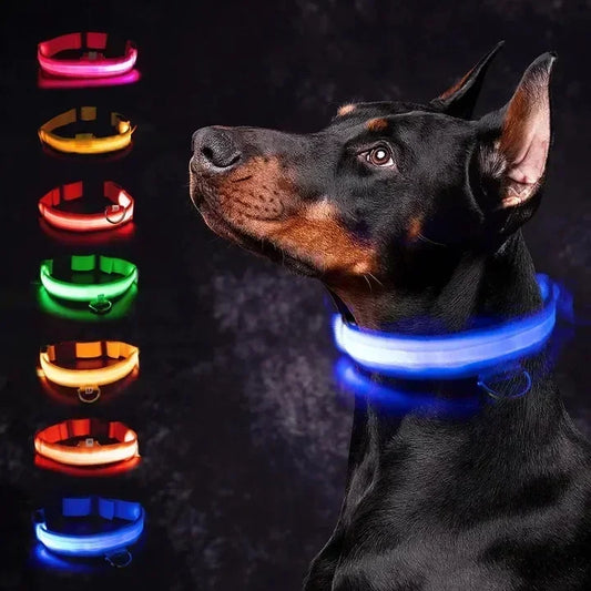LED Glowing Dog Leash