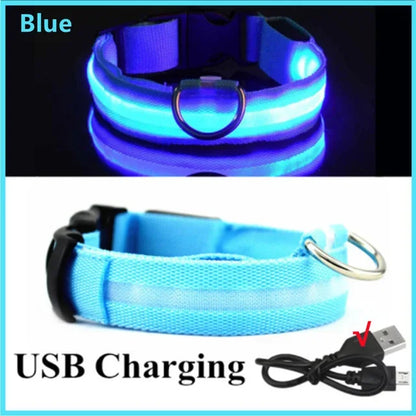 LED Glowing Dog Leash