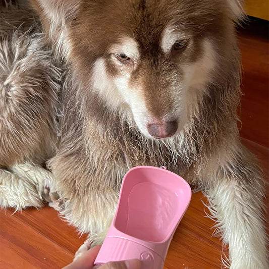 2-in-1 Portable Dog Water & Food Bottle