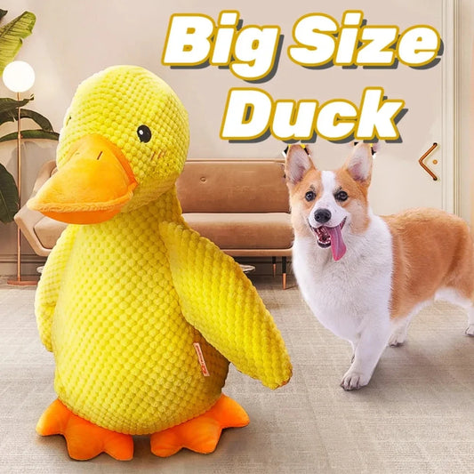 Duck Squeaky Toy for Dogs