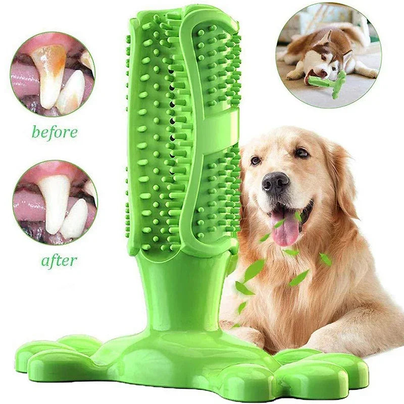 ChewyCactus