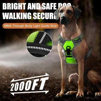 Rechargeable LED Glow Dog Harness
