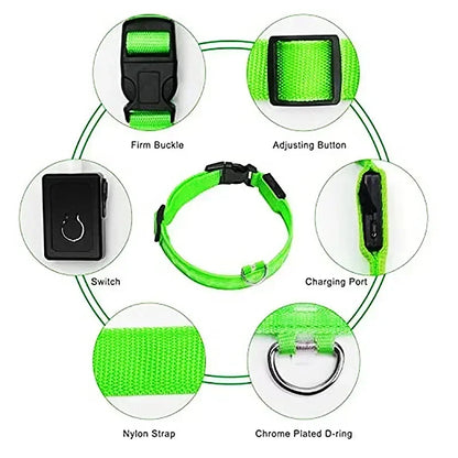 LED Glowing Dog Leash