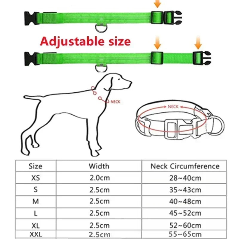 LED Glowing Dog Leash