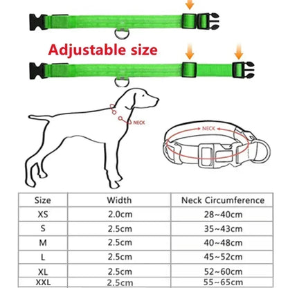 LED Glowing Dog Leash