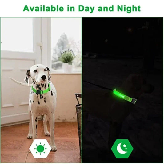 LED Glowing Dog Leash