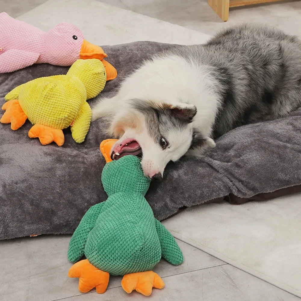 Duck Squeaky Toy for Dogs
