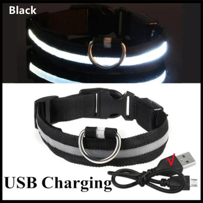 LED Glowing Dog Leash