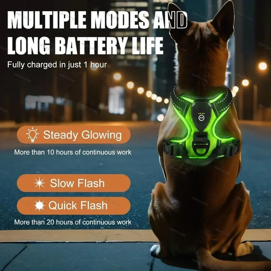 Rechargeable LED Glow Dog Harness