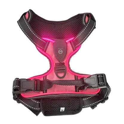Rechargeable LED Glow Dog Harness